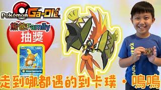 Pokémon Ga-Olé Rush7彈[熊寶貝&小熊弟Ga-Olé日常] #Pokémon #GaOlé #sega #寶可夢加傲樂  #sega卡片遊戲 #寶可夢 #Rush7彈 #gaole