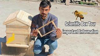 Scientific Box Tour | Important Information | Beekeeping At Home