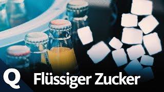 Softdrinks: Die süße Versuchung | Quarks