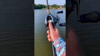 Is This The BEST Baitcasting Reel?