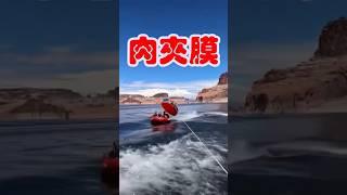 肉夾膜 #笑死方休  #funny   #shorts