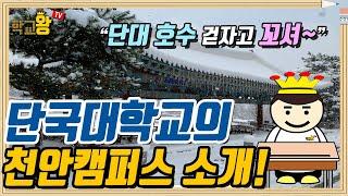 [단국대학교] 천안캠퍼스 소개! 단국대 천안캠퍼스에는 뭐가 있을까?!