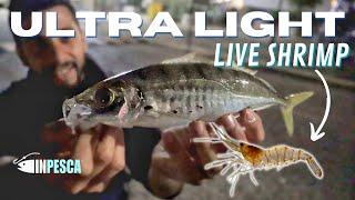 ULTRA LIGHT e GAMBERETTO VIVO nei porti per Spigole e Sauri di notte! (LRF fishing - Live Shrimp)