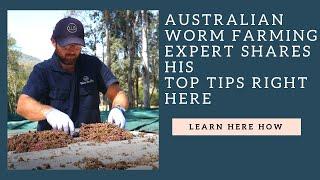 Australian Worm farming expert shares HIS TOP TIPS