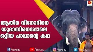 പൂരത്തിന് പോകാൻ കാത്തിരുന്ന ആതിര വിനോദ് നിരാശനായി | athira vinod | E4 Elephant