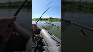 Река Пьяна рыбалка  #fishing  #рыбалка