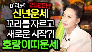 미리보는 2025년 을사년 신년운세 범띠운세2025년 을사년 새로운 금전운 들어온다! 범띠에게 생길 큰 변화들 62년생 74년생 86년생 98년생 범띠운세 재물 금전운 대박난다