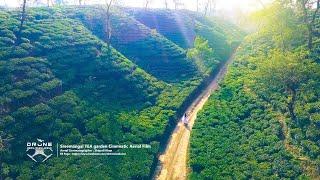 Sreemangal Tea Garden শ্রীমঙ্গল চা বাগান || Part-02 || Drone Media Bangladesh