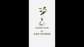 Acorn Vase by Ilex Studio