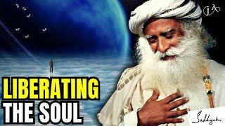 The Illusion of Self: Sadhguru's Wisdom on the Journey Beyond Body and Mind