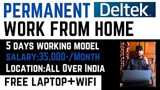 Deltek Permanent Work From Home Jobs 2025