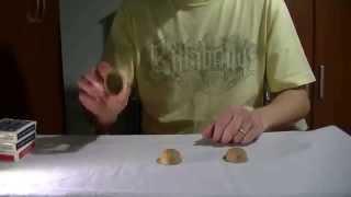 Truco de Magia Revelado | Mosqueta de Nueces | Magic Trick Revealed