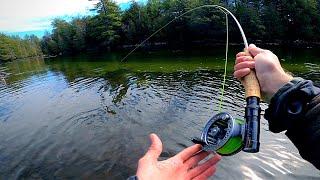 There Were HUNDREDS OF SALMON in this Pool! | Fly Fishing Ultra Clear Water