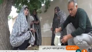 Iran White Berry picking, Ferdows county برداشت توت سفيد شهرستان فردوس ايران