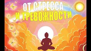 5 лучших упражнений от стресса и тревожности | ЛФК