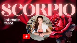 SCORPIO | A VERY Strong Reaction | Intimate Tarot | August 2024