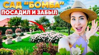 10 РАСТЕНИЙ КОТОРЫМ ВООБЩЕ НЕ НУЖЕН УХОД!