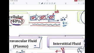MU1 - Physiology 4