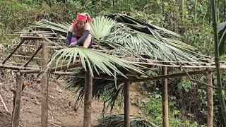 Single girl: roofed with palm leaves, the girl alone built a house in the middle of the wild forest