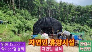 자연인 쉼터 (77)  5,000만원 (임야 15,000m² + 농막 + 농업용전기 + 사과나무 + 닭장) 경북 안동시 녹전면 신평리 농장  010-4949-0049 안동역부동산