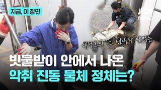 "이게 왜 여기서 나와?"...빗물받이 청소해보니 나온 것들｜지금 이 장면
