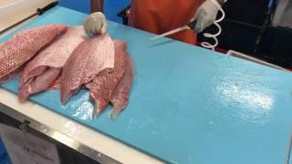 Wholesale Seafood Market Near Me: South Florida