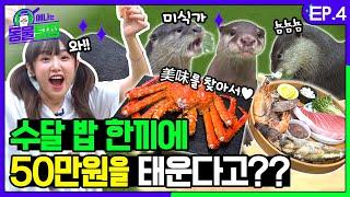 [SUB] 수달은 정말 미식가일까? 한끼에 50만원! 참치회부터 킹크랩까지 초호화 해산물을 마주한 수달 가족의 원픽은?ㅣ예나는동물탐정 EP.04