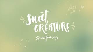 Sweet Creature - Harry Styles 1 Hour Version | New Fave Song