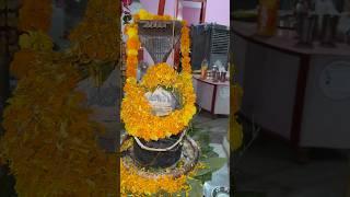 Krlo darshan bholebath ke #minivlog #panditji #shivpujan #rudraabhishek #viral #jammu #trwndingvlog