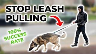 The EASIEST Way to STOP LEASH PULLING (100% Success Rate)