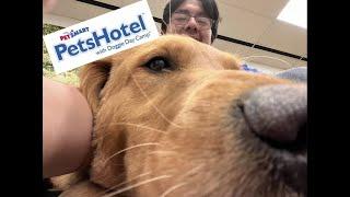 Day in the life of A PetSmart/PetHotel Employee