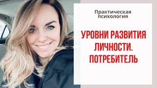 Потребитель - уровни развития личности. Екатерина Лим.