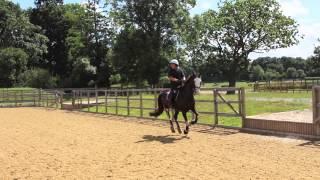 Parwood XC/SJ clinic with Tilly