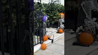 Morning after Halloween walk in Belgravia  #halloween2024 #halloween  #halloweendecor