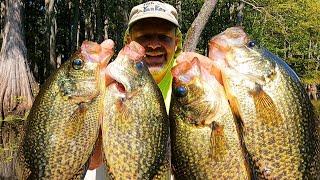 3 Simple Techniques to Load the Boat with Fall Crappie This Year