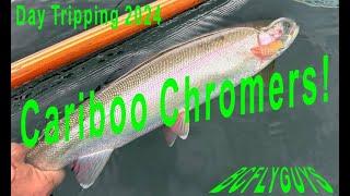 Stillwater Fly Fishing: Cariboo Chrome - Deep Crons for Silver Bullet Rainbows - BCFLYGUYS DT S02E04