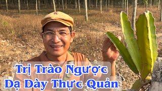 Trị trào Ngược Dạ Dày Thực Quản. @PHAN HẢI Channel