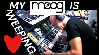 Moog Grandmother is weeping with Korg Triton, Lekato Looper, jam