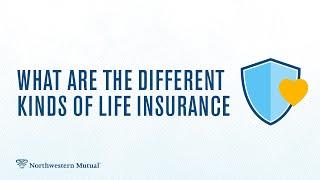 Life insurance: what you need to know