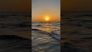 #beach #beachsunset #beachsunsetvibes #beachsunsetsarethebest #sunset #sunsetlovers #saadiyatisland