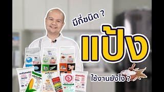 รีวิวแป้ง 7 ชนิด มีอะไรบ้าง ใช้ทำอะไร! by Chef Lookmoo