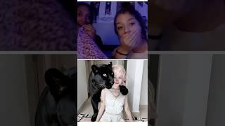 What kind of Cat is that? | CHANG DORY | omegle