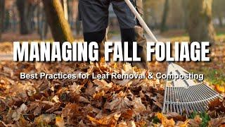 How to Manage Fall Foliage (And Why You Should)