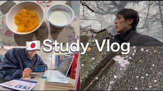 Study Vlog独学で英語学習する大学生 | 朝5:30起きて勉強 | ルーティーン | 大学生