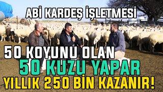 50 Koyunu Olan 50 Kuzu Yapar, Yıllık 250 Bin Kazanır! / Abi Kardeş İşletmesi