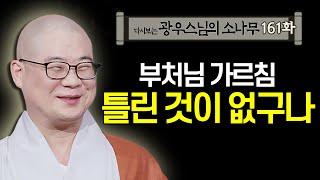 부처님 가르침 틀린 것이 없구나 [초심으로 돌아가는 광우스님의 소나무 161회]