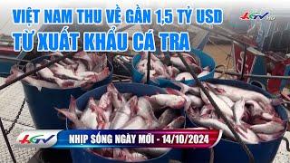 Nhịp sống ngày mới 14.10.2024 | Truyền hình Hậu Giang