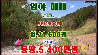 물번,526번) 임야,21.600평 평당,2.500원에 매매합니다, 농림지역,생산관리지역,임업용산지,준보전산지, 구거를 접하고 있으며 방위는 동향입니다, 매매가,5.400만원 ~