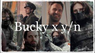 Bucky x y/n pov part one