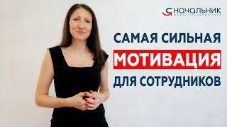 Самый сильный способ мотивации сотрудников